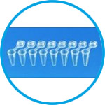 PCR tubes strips, with attached single caps, PP