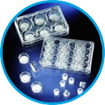 Cell culture inserts in multi-well plates, sterile