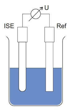 Schematic structure of a hydrogen ISE, reference, and voltmeter