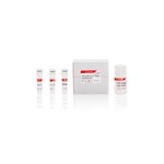 Canvax PRImeDETECT™ Legionella spp Detection Kit FP0030