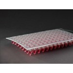 Heat Seal Film ClearASeal Pierce (for Abi 3730 Sterile) 610M x 78mm Roll IST Scientific IST-103-078SR