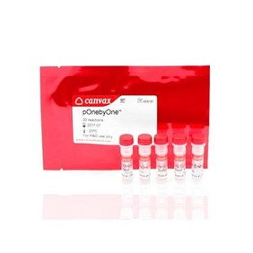 Canvax pOnebyOne™ VI - Neo Bicistronic Mammalian Expression Kit ME006-N-S